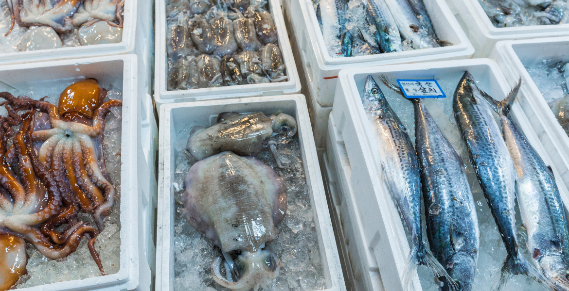 Balıkçılık ve Su Ürünleri Eğitimi Görseli