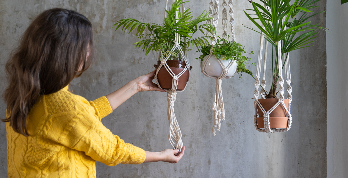 Süs Bitkileri Eğitimi Görseli