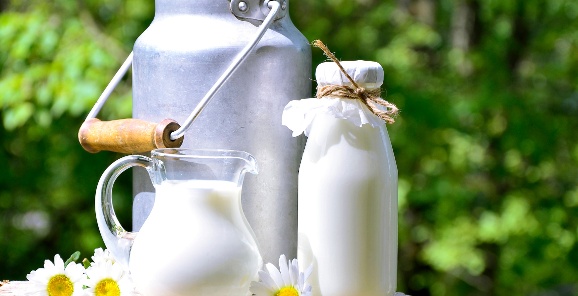 Süt İşleme Eğitimi Görseli